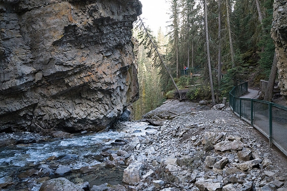 DSC00509