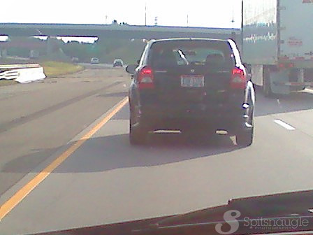 spotted another